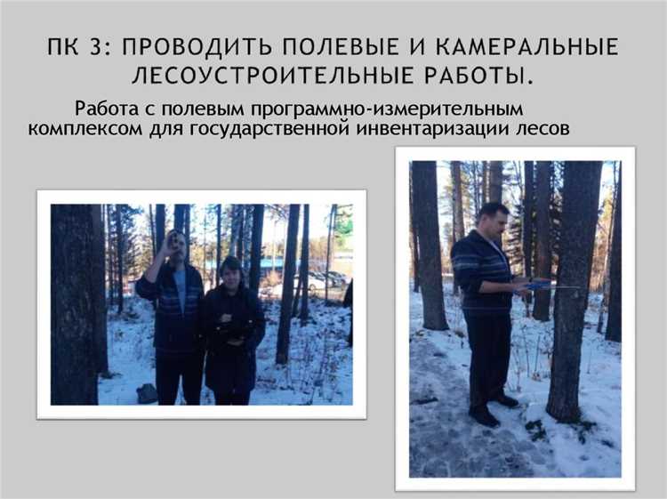 Организация сортировки и укладки лесоматериалов по категориям