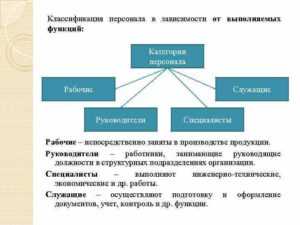 Права и обязанности служащих согласно трудовому законодательству