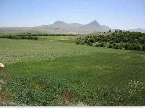 Приоритетные культуры для разных типов сельхозугодий