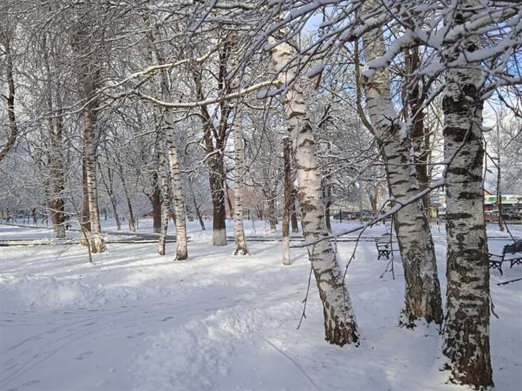 Договорные сроки, которые нельзя изменить по соглашению сторон