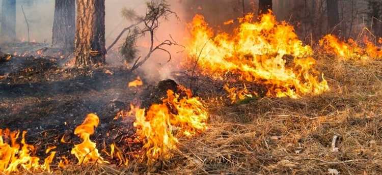 Выбор тактики и методов тушения в зависимости от типа местности