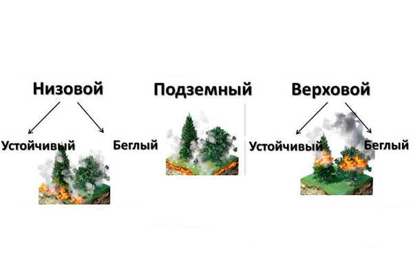 Организация работы противопожарных подразделений и их координация