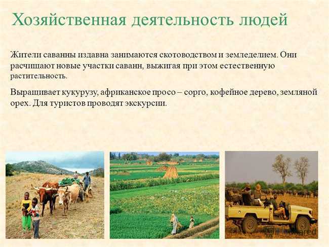 Отличия ООО и АО по структуре управления и ответственности участников