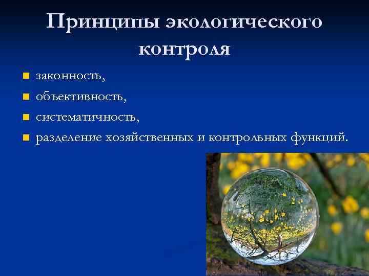 Какие функции выполняет муниципальный экологический контроль
