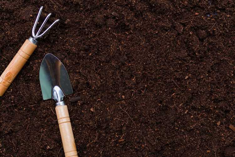 Контроль качества выполнения работ по государственному заданию