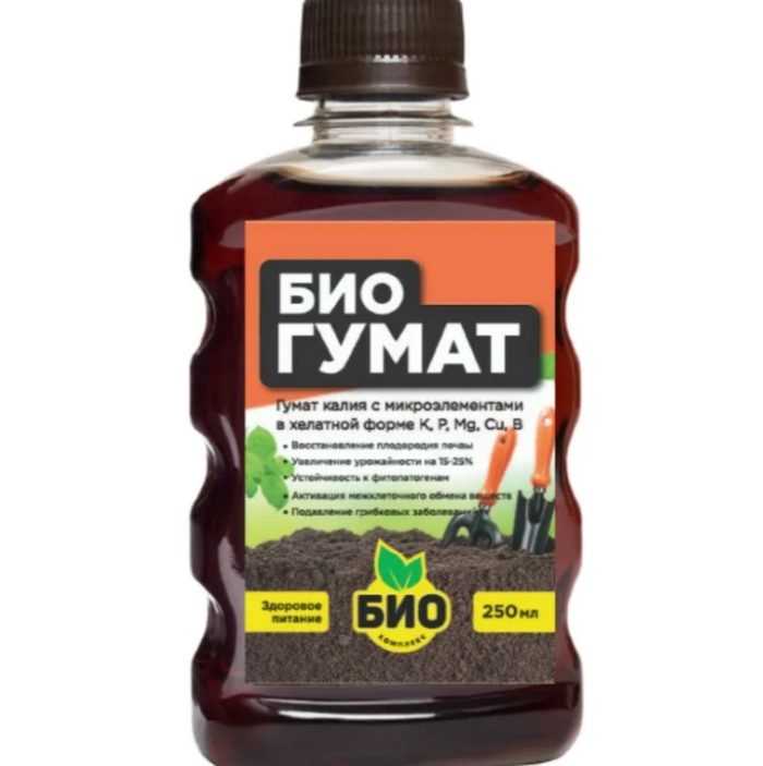 Какие услуги работы можно вносить в госзадание