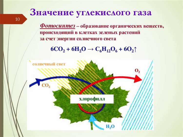 Какие вещества могут гореть на воздухе Какие вещества могут гореть на воздухе