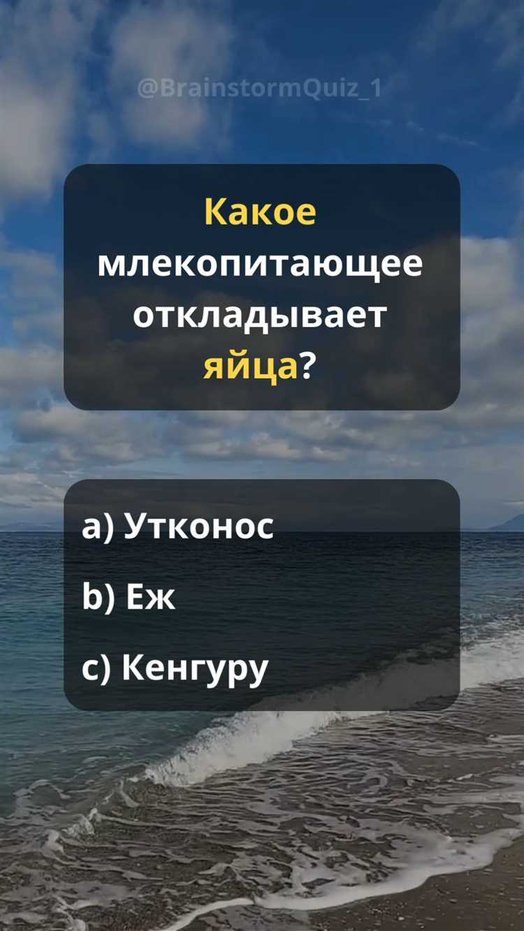 Рассмотрение заявления об исключении доказательств