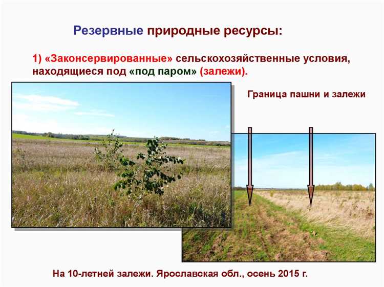 Механизмы регулирования земельных споров и конфликта интересов