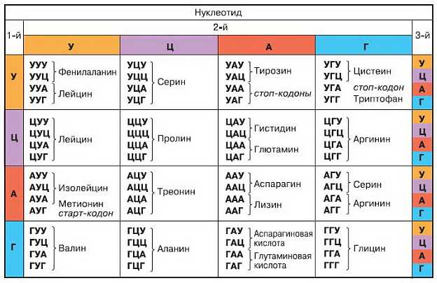 Значение кода 27 2 в документах на право управления транспортом