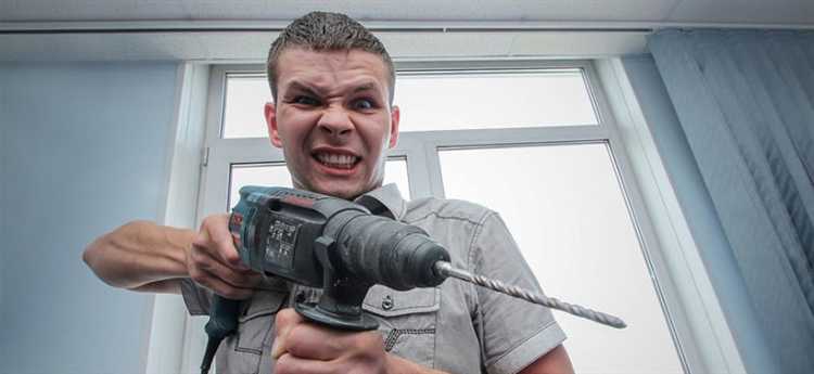 Шум от домашних животных и правила содержания