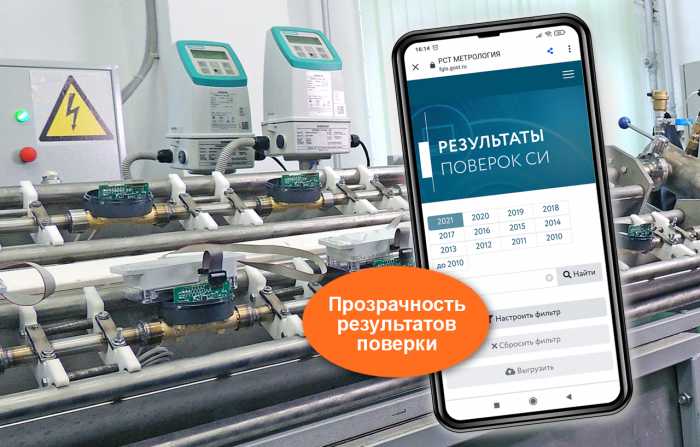 Кто уполномочен проводить инспекционную поверку