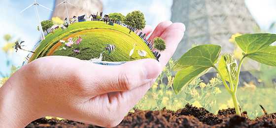 Правовые основания проведения экологической экспертизы проектной документации