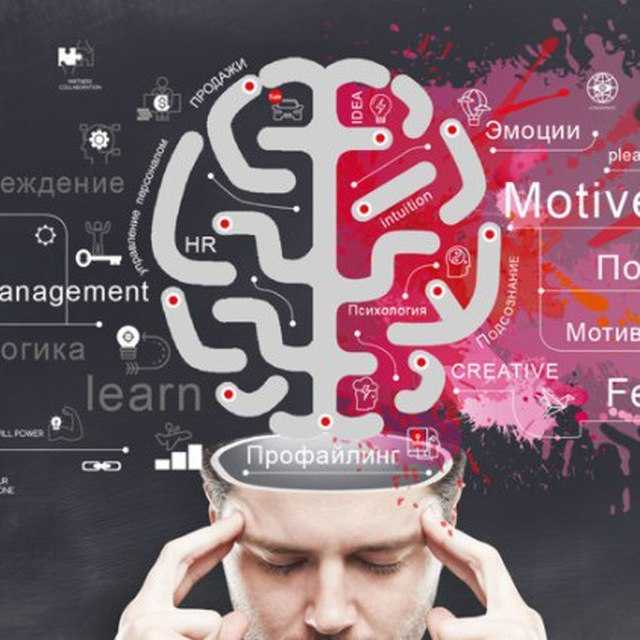 Документы и порядок подтверждения права на освобождение