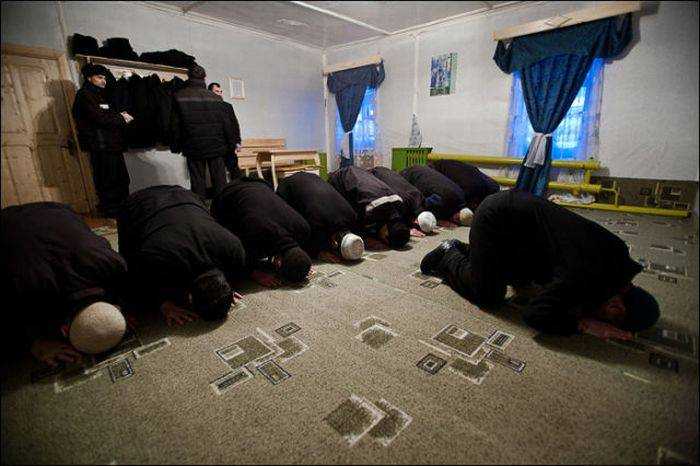 Режим труда и быта в колонии общего режима