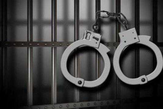 Колония общего режима что это