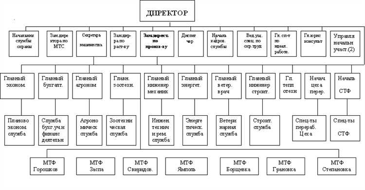 Подготовка проектной документации и согласование с контролирующими органами