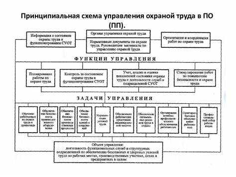 Кому подчиняется служба охраны труда в организации Кому подчиняется служба охраны труда в организации