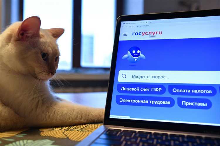 Процедура оформления накопительной пенсии через Пенсионный фонд