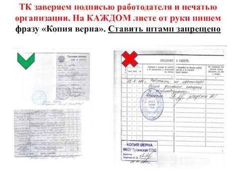Копия верна как правильно заверить Копия верна как правильно заверить