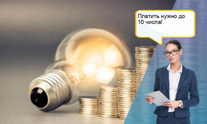 Ответственность собственника жилого помещения за оплату электроэнергии