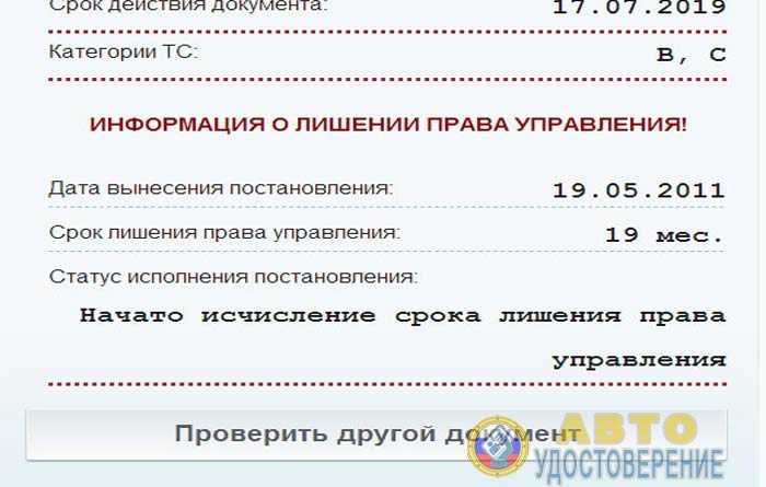 Проверка водительских прав сотрудниками Росгвардии