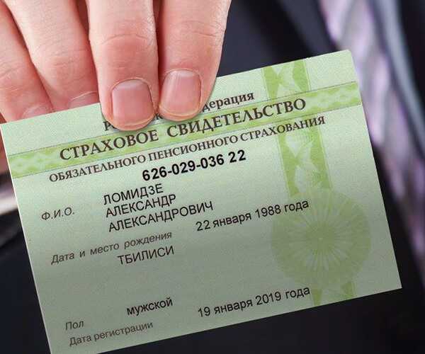 Правомочия государственных органов при запросе СНИЛС