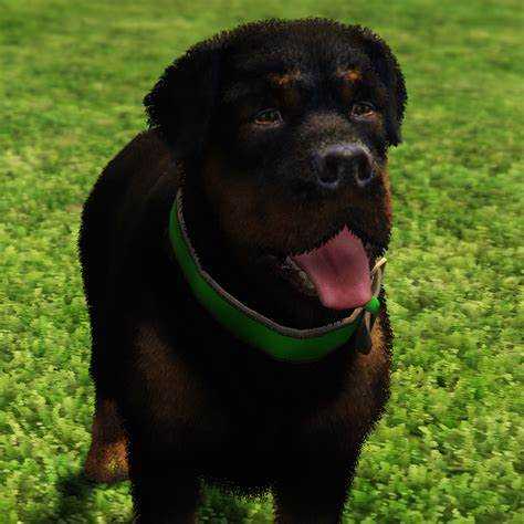 Стаж работы в сфере охранной деятельности или силовых структурах не менее пяти лет