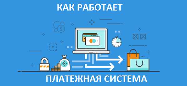 Кто может стать оператором платежной системы Кто может стать оператором платежной системы