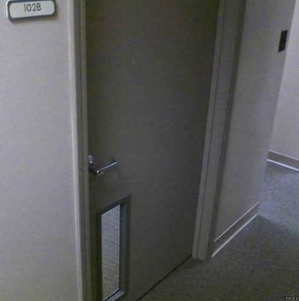 Документальное подтверждение отсутствия ограничений у кандидата