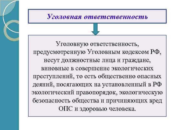 Особенности привлечения к ответственности при финансовых преступлениях