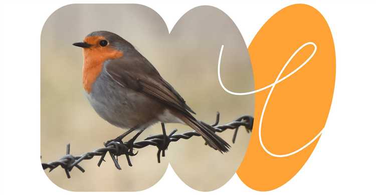 Механизмы защиты интересов организации при обвинениях в уголовных преступлениях