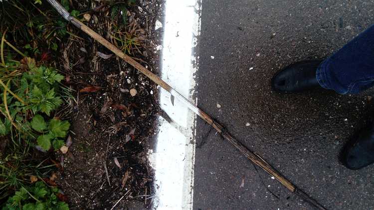 Кто контролирует соблюдение стандартов дорожной разметки