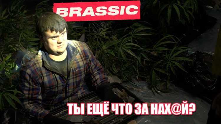 Почему фраза актуальна в коллективной иерархии и бытовых конфликтах