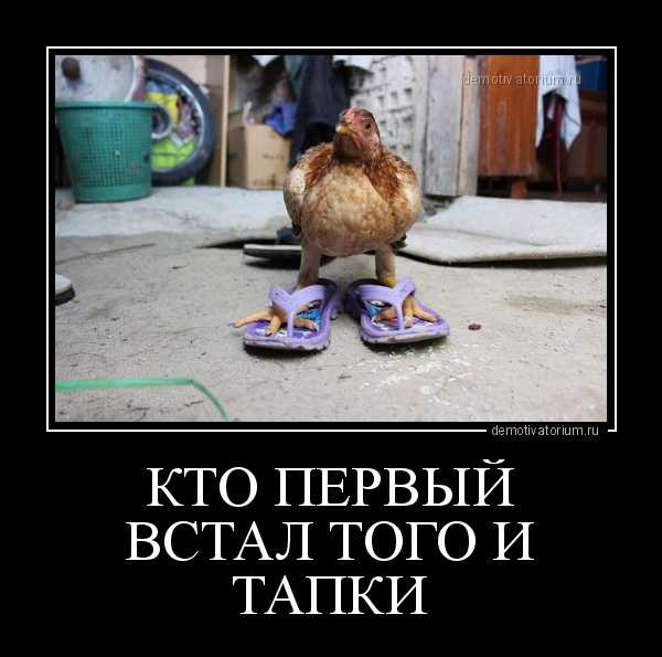 Откуда пошло выражение и при чём здесь тапки: исторический контекст