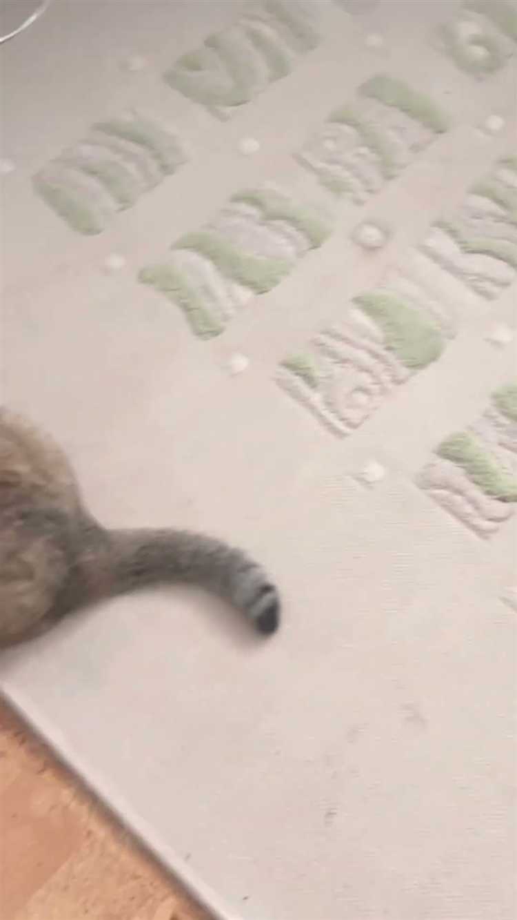 Как поговорка используется в воспитании детей и в образовательной среде