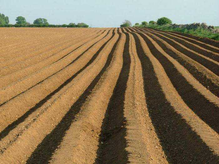 Какие органы управляют землями из состава земель сельхозназначения