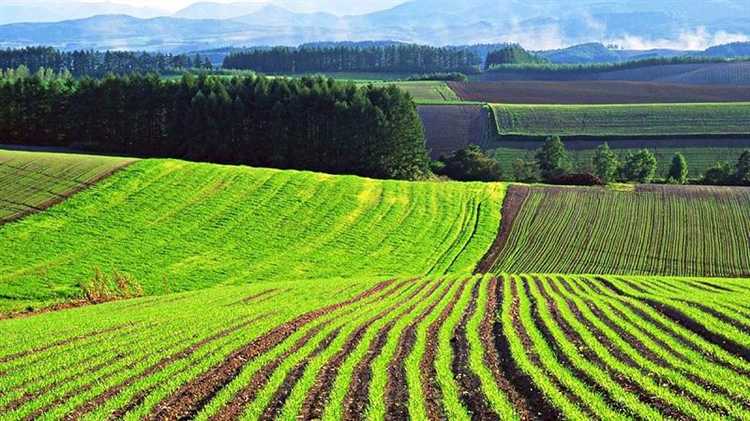 Можно ли передавать право распоряжения третьим лицам