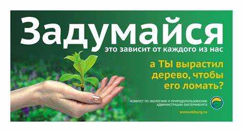 Основные функции и обязанности операторов социальной рекламы