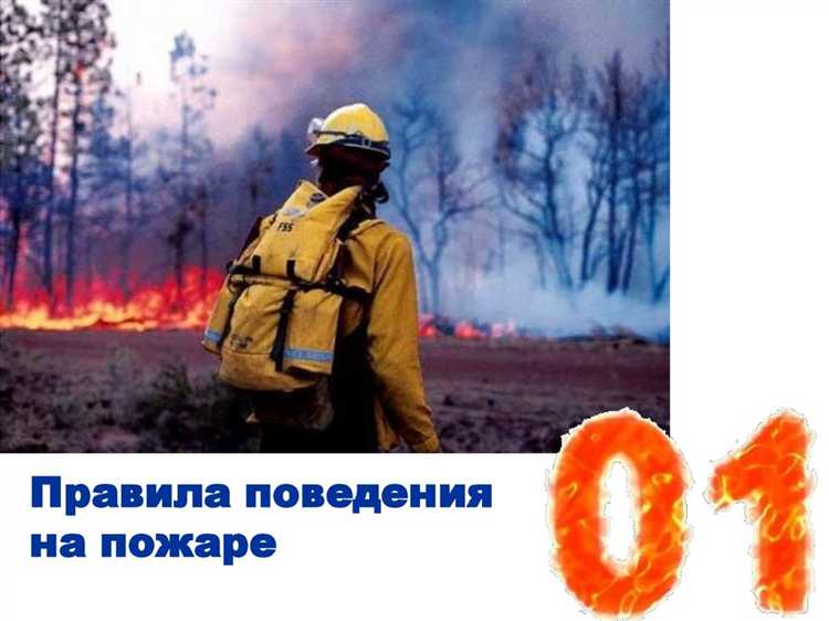 undefinedФедеральные полномочия</strong> закреплены за Министерством природных ресурсов и экологии РФ и его структурой – Федеральным агентством лесного хозяйства. На местах работают авиалесоохрана и федеральные резервные силы. Их задача – тушить крупные и труднодоступные очаги, где требуется авиация или сложная техника.»></p>
<p><em>Региональные власти</em> несут ответственность за противопожарную готовность лесного фонда, который находится в ведении субъектов РФ. В большинстве случаев именно региональные лесничества и специализированные службы первыми реагируют на возгорания и координируют действия наземных сил.</p>
<p><img decoding=