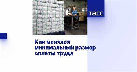 Какие органы участвуют в установлении минимальной зарплаты