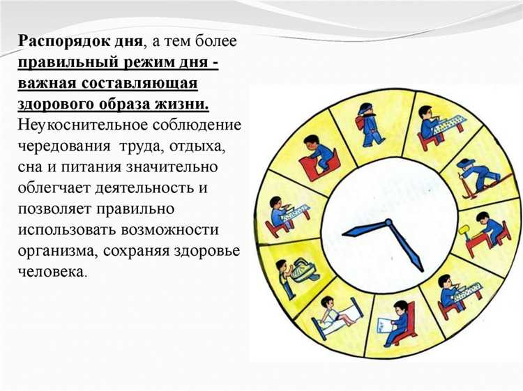 Кто устанавливает распорядок дня и регламент служебного времени