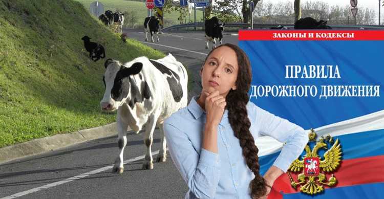 Роль дорожных знаков и освещения в происшествиях с коровой ночью