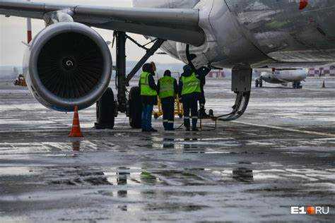 Что влияет на решения суда при столкновении с коровой ночью