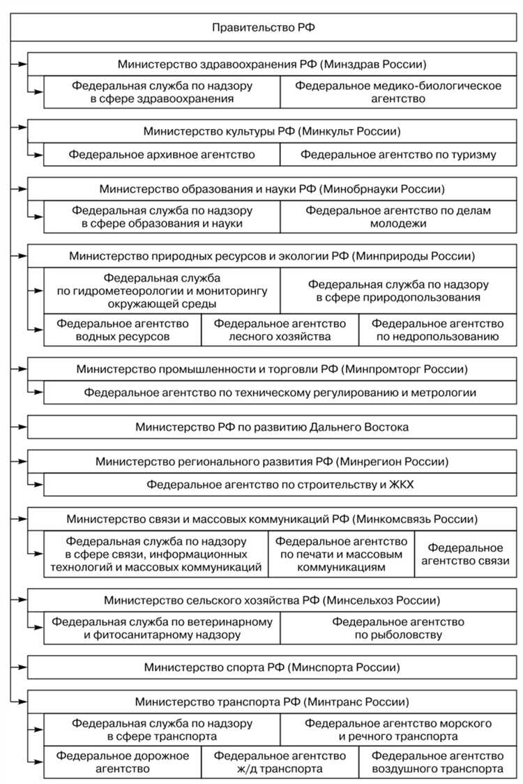 Кто возглавляет исполнительную власть в рф Кто возглавляет исполнительную власть в рф