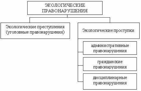 Какие органы привлекают к ответственности за экологические нарушения