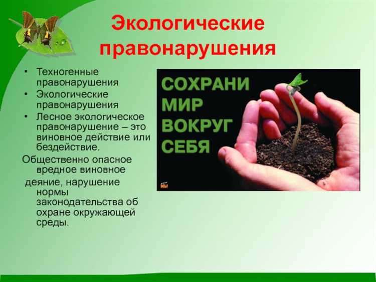 Может ли индивидуальный предприниматель быть наказан за экологическое нарушение