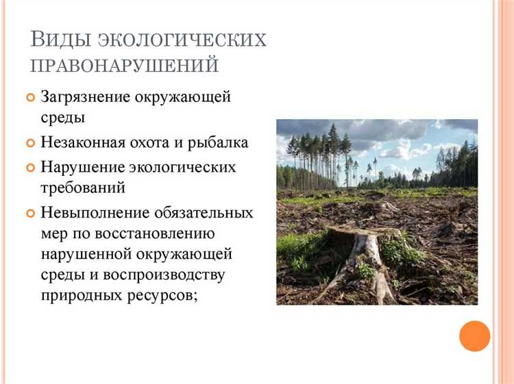 В каких случаях ответственность несет юридическое лицо