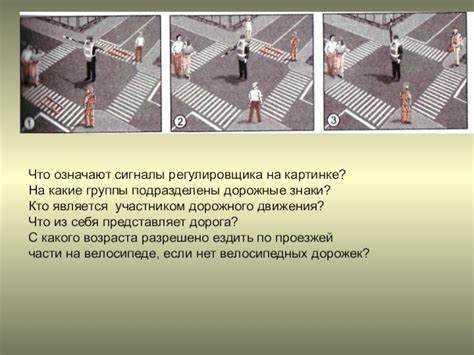 Роль пассажиров в дорожном движении и их права