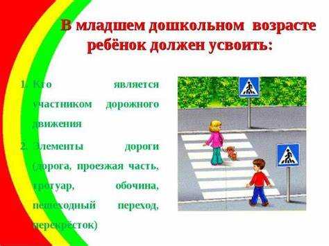 Критерии признания пешеходов участниками дорожного движения